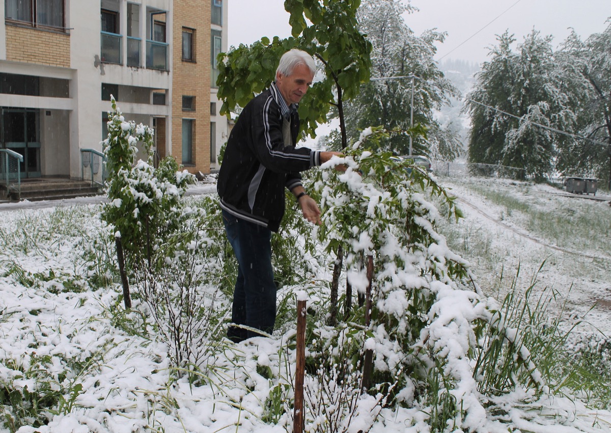 Sneg u Maju 2016. Nova Varoš 